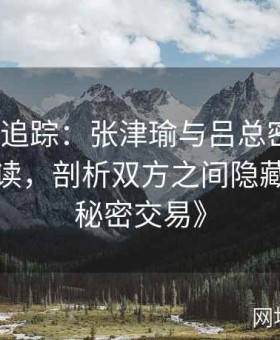 《内幕追踪：张津瑜与吕总密会视频全程解读，剖析双方之间隐藏的所有秘密交易》