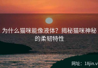 为什么猫咪能像液体？揭秘猫咪神秘的柔韧特性