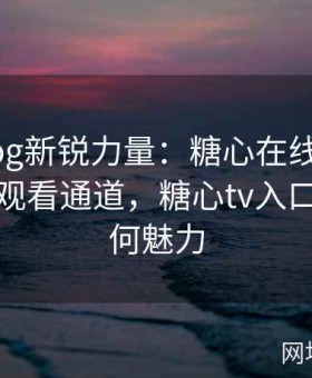 糖心vlog新锐力量：糖心在线入口提供多元观看通道，糖心tv入口究竟有何魅力