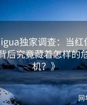 《91chigua独家调查：当红偶像意外低调，背后究竟藏着怎样的危机与转机？》