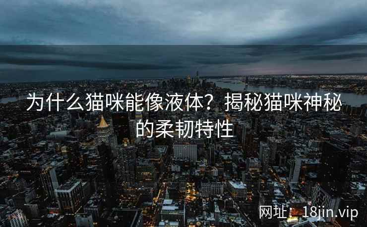 为什么猫咪能像液体？揭秘猫咪神秘的柔韧特性