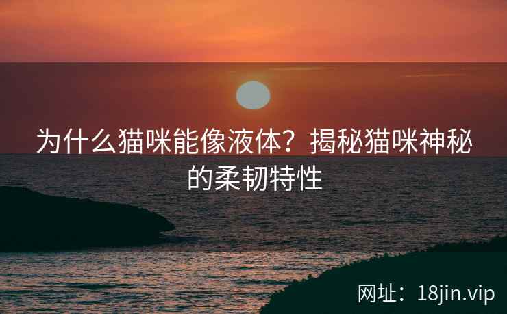 为什么猫咪能像液体？揭秘猫咪神秘的柔韧特性