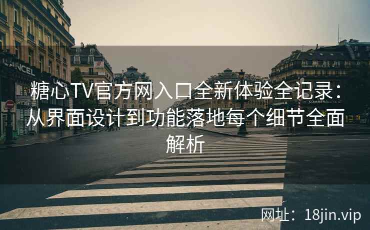 糖心TV官方网入口全新体验全记录：从界面设计到功能落地每个细节全面解析